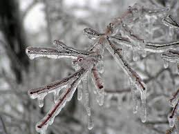 Image result for ice storm