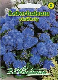 Image result for Leberbalsam