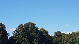 Image result for Buckhorn Weston Cricket Club