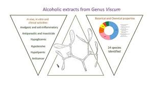 Image result for genus