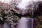 There aren't any flowers in Wisconsin in March, so I appreciated all of the - via Daymix