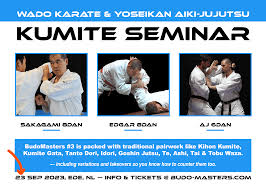 Image result for Yoseikan Budo England