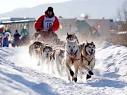 Andr� Jute's Iditarod