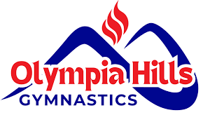 Image result for Child`s Hill Gymnastics Club