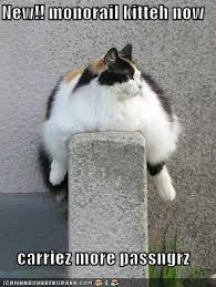 images?q=tbn:ANd9GcQ2pViHk2MJmMSKrZEqxyRBR9Nbr1Zr9sDNsh3pIqtJFfr-mlqQ