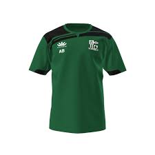 Image result for Alderbury Football Club