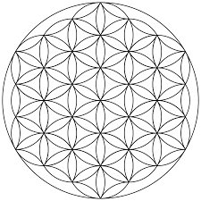 Image result for life flower