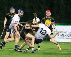 Image result for University Of Limerick Gaa Hurling Club