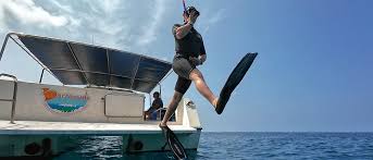 Image result for Kingston and Elmbridge Snorkellers