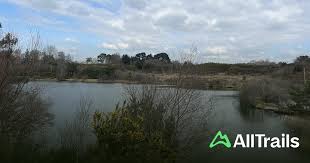 Image result for Poole Harbour Canoe Club