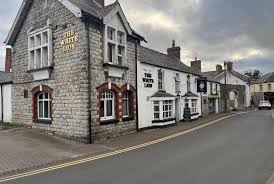 Image result for Llantwit Lions