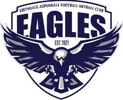 Image result for Eagles Netball Club