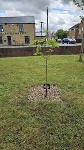 Image result for burradon bowling club