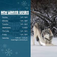 Image result for Weston Rhyn Wolves