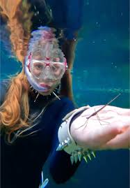 Image result for Seabug Divers