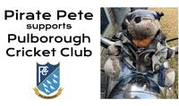 Image result for Pulborough Cricket Club