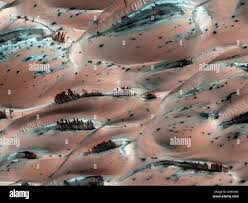 Image result for mars trees