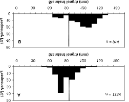 Image result for Rhabdosargus holubi