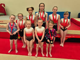 Image result for Appley Bridge Gymnastics Club
