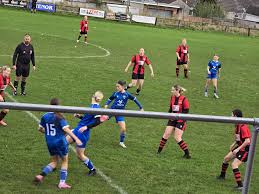 Image result for Haverfordwest Gymnastics Club