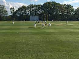 Image result for Tendring Cricket Club