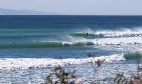 Image result for Scarborough Malibu Surf Club