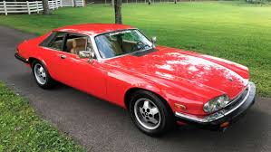 Image result for Cirrus Gray 1983 Jaguar