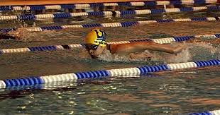 Image result for Saxon Crown (Lewisham) Swimming Club
