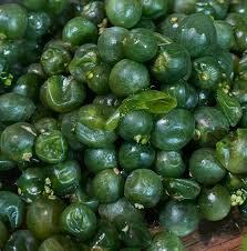 Attēlu rezultāti vaicājumam “Robinia neomexicana fruit”