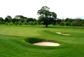 Image result for Largs Golf Club