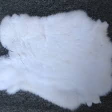 Image result for white rabbit skin texture