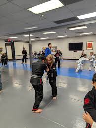 Image result for Precision Martial Arts
