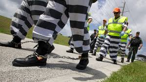 Image result for Freck Chain Gang