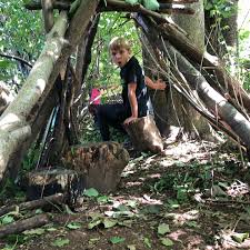 Image result for Shottermill Cricket Club