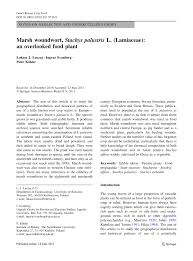 Attēlu rezultāti vaicājumam “Stachys palustris fruit”