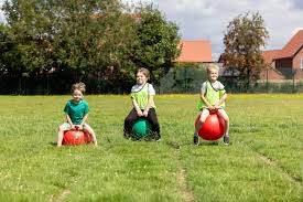 Image result for Elworth Cricket Club