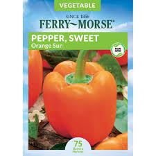 Afbeeldingsresultaat voor orange sun sweet pepper