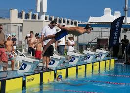 Image result for Sharks Swimming Club Of Mottingham