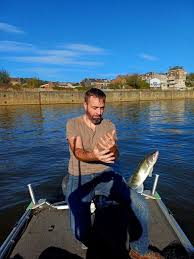 Image result for Albula glossodonta