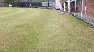 Image result for Bollington Cricket Club