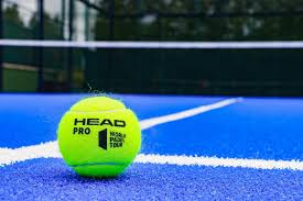 Image result for Wentworth Tennis & Health Club