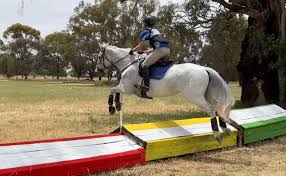 Image result for Lakes Riding Club