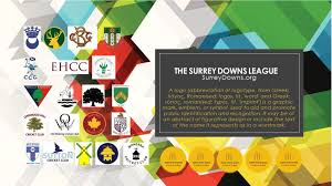 Image result for Horsley & Send Cricket Club