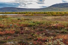 Image result for Laplandit-(Ce)