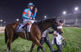 Image result for Almond Riding Club