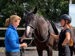 Image result for Lower Farm Stables