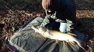 Image result for Vauxhall Angling Club