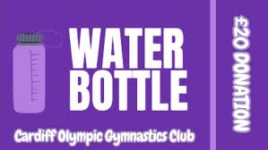 Image result for Cardiff Olympic Gymnastics Club