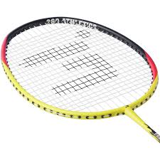 Image result for Phoenix Wood Badminton Club