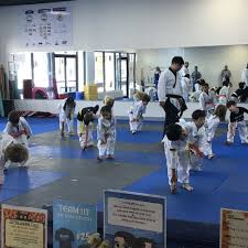 Image result for Roswell Martial Arts KA